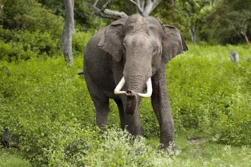 மட்டக்களப்பில் ஆறு பிள்ளைகளின் தந்தைக்கு நேர்ந்த பரிதாபம்