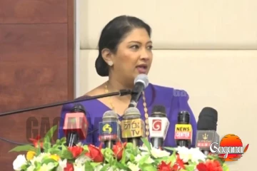 කිරිකෝඩු කිරිඇල්ලට පොල් ලොරියකින් වාසියක් වෙලා! හිනා වෙවී කියපු දේ