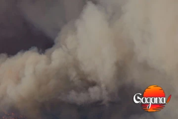 ලිදුල රක්ෂිතයම ගිනි ගනී - පිරිසක් ගිනි තියලා පැනලා ගිහින්