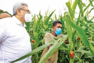 என்னை ஜனாதிபதியாக நியமித்தது  அரிசி, பருப்பின் விலையை பார்த்துக் கொள்ளவா? ஜனாதிபதி காட்டம்