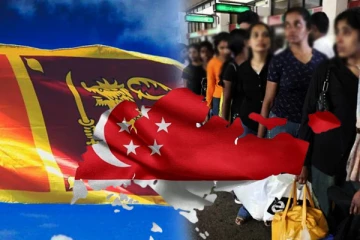 சிங்கப்பூரில் மோசடிகளில் சிக்கியுள்ள இலங்கை பெண்கள் : வெளியாகியுள்ள தகவல்