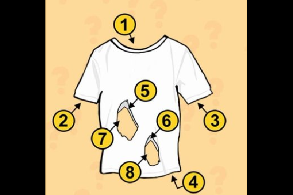 Brain Teaser iQ Test: இடது மூளையின் சிந்திப்பை சோதிக்க... சட்டையில் இருக்கும் ஓட்டைகள் எத்தனை? | Brain Teaser Iq Test How Many Hols In Shirt