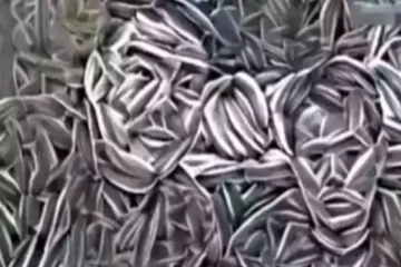 எதிர்காலத்தை கச்சிதமாக கணிக்க ஒரு task- இந்த படத்துல உங்க கண்ணுக்கு தெரிவது என்ன?