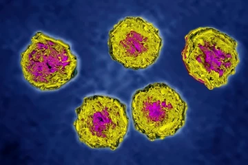 அமெரிக்காவில் கழிவுநீரில் போலியோ வைரஸ்!