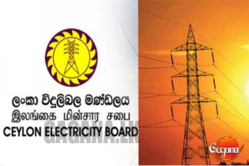 ඔයත් අදහසක් දෙන්න ලෑස්තිද ? එනම් හෙට යන්න