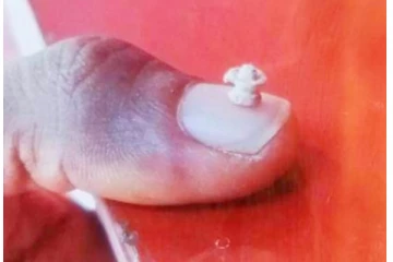 சிவலிங்கத்தை செய்து உலக சாதனை படைத்த ஜனா