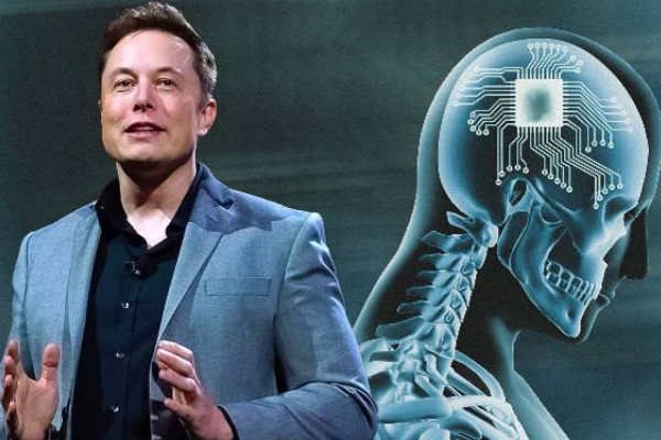 எலான் மஸ்க்கின் பிரபல நிறுவனத்தின் மீது தீவிர விசாரணை! | Investigation On Elon Musk Neuralink Company
