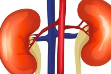 சிறுநீரகம் பலமாக வேண்டுமா? அதன் செயல்பாடுகள் நன்றாக இருக்கனுமா? இதை செய்தால் போதும்