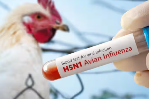 ஒரே ஒரு மரணத்தால் அதிர்ந்து போன அமெரிக்கா ; விடுக்கப்பட்ட முக்கிய எச்சரிக்கை | Us Shaken By A Single Death