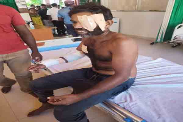 சிறுத்தை தாக்குதலுக்கு உள்ளான தோட்டத் தொழிலாளி | Gardener Attacked By A Leopard