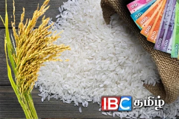 அரிசி விலை குறித்து அநுர அரசின் தீ்ர்மானம்