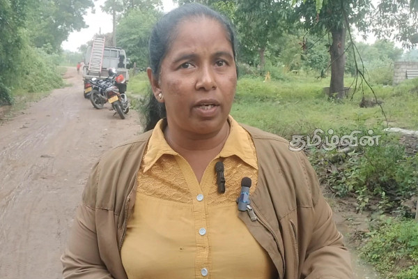 கந்தளாயில் காட்டு யானை அட்டகாசம் : அச்சத்தில் மக்கள் | Wild Elephant Rampage In Kandhalai