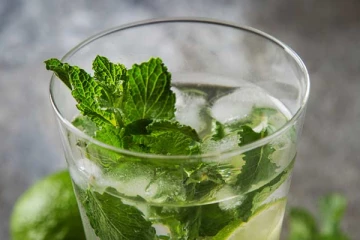 புதினாவை கொதிக்கவைத்து.. இப்படி செய்தால் முகம் பள பளன்னு மின்னுமாம்! கண்டிப்பா ட்ரை பண்ணி பாருங்க