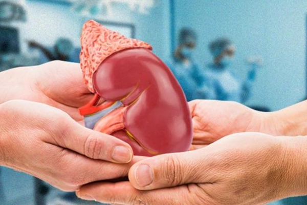 இத்தாலியில் உயிரிழந்த இலங்கையர்; குடும்பத்தினரின் நெகிழ்ச்சி செயல் | Organ Donation Of A Sri Lankan Who Died Italy