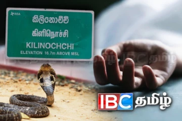 ஆலயவளாகத்தில் சிரமதான பணியில் ஈடுபட்ட இளைஞனுக்கு நேர்ந்த துயரம்