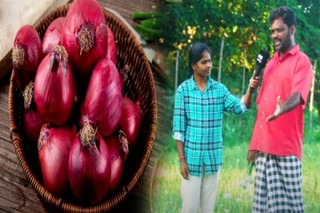 சந்தையில் நடக்கும் மோசடி.. ஓபனாக பேசிய விவசாயி- நடப்பது என்ன?