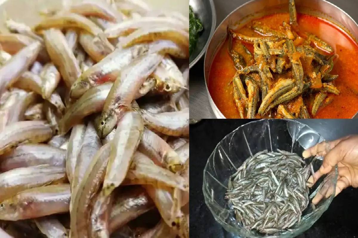 கிராமத்து ஸ்டைலில் அயிரை மீன் குழம்பு - இப்படி செஞ்சு பாருங்க சுவை அசத்தும் | Airai Fish Curry Village Food Village Style Recipe