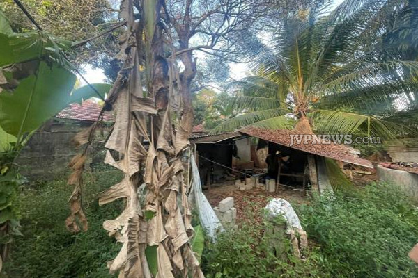 யாழில் பெரும் பரபரப்பு: தூக்கில் தொங்கிய நிலையில் சடலமாக மீட்கப்பட்ட நபர் | Person Recovered From A Hanging Body In Jaffna
