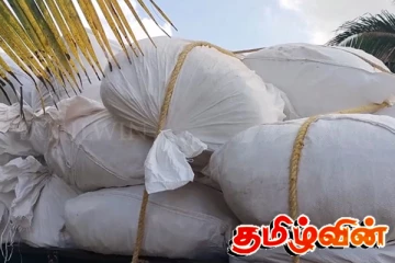இலங்கைக்கு கடத்துவதற்காக பதுக்கி வைத்திருந்த 1200 கிலோகிராம் மஞ்சள் பறிமுதல்