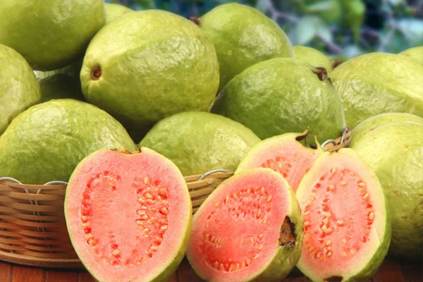 கொய்யாபழத்தில் சட்னி வைக்கலாமா? இட்லி, தோசைக்கு ஏற்ற சுவையில் இதோ | How To Make Guava Chutney கொய்யாபழத்தில் சட்னி வைக்கலாமா? இட்லி, தோசைக்கு ஏற்ற சுவையில் இதோ | How To Make Guava Chutney