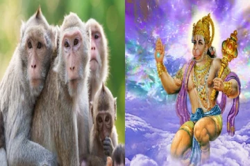இலங்கை -இந்திய கடவுளை சீனாவிற்கு விற்க முயற்சி