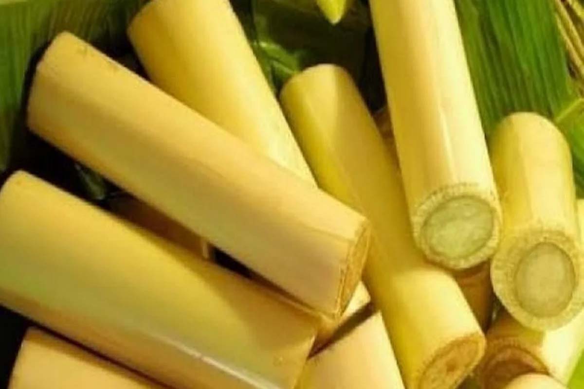 வெயில் காலத்தில் உடல் சூடுபிடிக்கக்கூடாதா? இந்த உணவை கட்டாயம் சாப்பிடுங்க | Eat This Vegetables To Reduce Your Body Heat