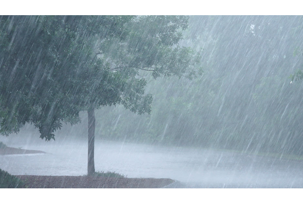 வளிமண்டலவியல் திணைக்களம் விடுத்த எச்சரிக்கை | Warning Issued By Meteorological Department