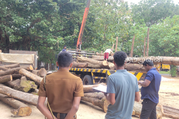 கடத்தப்பட்ட 30 இலட்சம் பெறுமதியான மரக்குற்றிகள் மீட்பு | 3 Million Worth Of Smuggled Timber Recovered