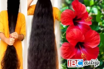 அடர்த்தியான முடி வளர்ச்சிக்கு உதவும் செம்பருத்தி பூ... இவ்வாறு பயன்படுத்துங்கள்