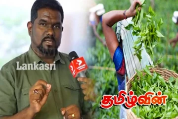 பெருந்தோட்ட தொழிலாளர் சம்பள உயர்வு விவகாரம்: விமர்சனத்திற்கு சுந்தரலிங்கம் பிரதீப் பதிலடி