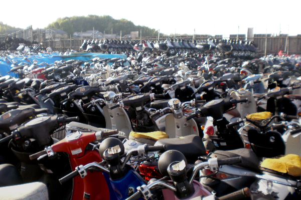 இலங்கையில் ஓகஸ்ட் மாதத்தில் அதிகரித்த வாகனப் பதிவு | 38240 Vehicles Registered In Sri Lanka In August