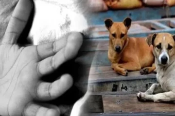 படுக்கையில் 5 மாதக் குழந்தை - கடித்து தின்று கொன்ற வளர்ப்பு நாய்!