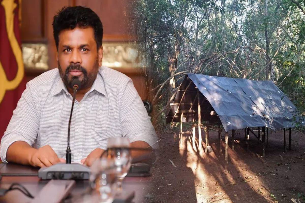 தமிழ் மக்களின் போராட்டங்களை சிதைத்தவர்களே இவர்கள்..! குடியேற்றங்கள் மீதான குற்றச்சாட்டு | Anura Government Ignored Tamil People Struggles தமிழ் மக்களின் போராட்டங்களை சிதைத்தவர்களே இவர்கள்..! குடியேற்றங்கள் மீதான குற்றச்சாட்டு | Anura Government Ignored Tamil People Struggles