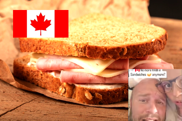 Canada school lunch pork ban, Ham sandwich controversy Canada, TikTok viral school video 2025, Canadian school halal lunch rules, David DeWolfe pork video, Islamophobia school lunch Canada, Calgary parent school lunch video, Canada school religious food rules, Pork-free lunch policy Canada, Canadian school viral TikTok