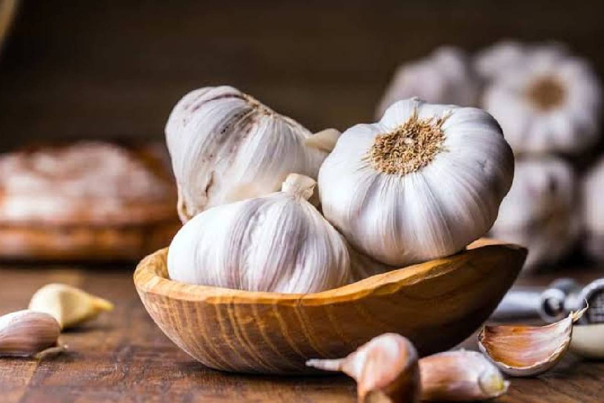 பூண்டு யாரெல்லாம் சாப்பிடக்கூடாது? மருத்துவர்கள் கூறும் அதிர்ச்சி தகவல்கள்! | Which People Should Not Eat Garlic