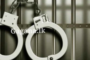 ජපන් නමකින් පෙනී ඉඳලා රට රැකියා පෙන් වූ කතකට වැඩ වැරදෙයි.