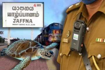 யாழில் கடல் ஆமையுடன் சிக்கிய நபர்