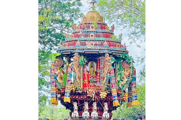 வரலாற்று சிறப்பு மிக்க யாழ் செல்வ சந்நிதி ஆலயத்தில்  இன்று மிக சிறப்பாக இடம்பெற்ற தேர்த்திருவிழா (Photos) | Jaffna Selva Sannidhi Temple Festival