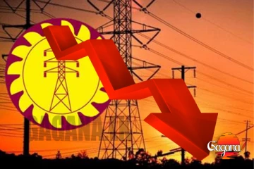 වැඩි කරපු විදුලි ගාස්තුව නැවත අඩුවෙයිද ? අධික විදුලි ගාස්තුව නිසා බිද වැටෙන තේ කර්මාන්තය