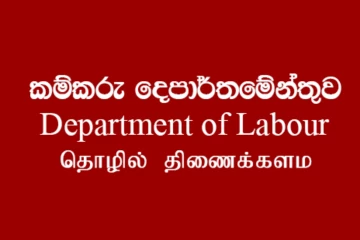 මේ විදිහට රාජ්‍ය සේවයට බැදුණු අයට සුභ ආරංචියක් - රජයෙන් අද ගත් කැබිනට් තීරණය එළියට