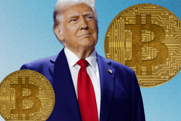 2024 இல் பின் பாரிய வீழ்ச்சியடைந்த பிட்காயின்! | Bitcoin Experienced A Massive Drop In 2024