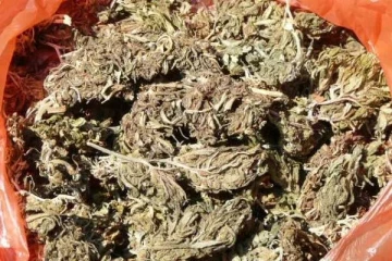 மன்னாரில் கேரளா கஞ்சா 570 கிலோ தீயிட்டு அழிப்பு