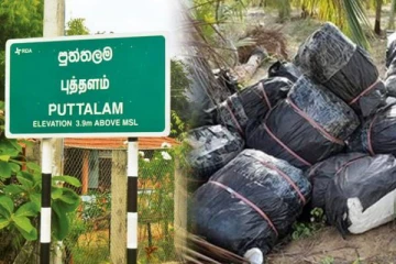 புத்தளத்தில் பெருந்தொகையான பீடி இலை பொதிகள் மீட்பு