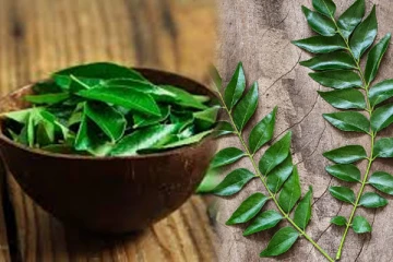 வெறும் வயிற்றில் கறிவேப்பிலையை மென்று சாப்பிட்டால் என்ன நடக்கும்?