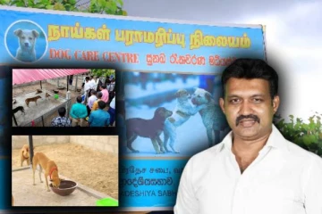 நாய்களுக்கான பராமரிப்பு நிலையம் : திறந்து வைத்த செந்தில் தொண்டமான்