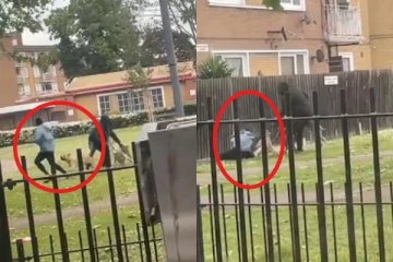 லண்டன் பூங்காவில் இளம்பெண்ணை கடித்து குதறிய 3 நாய்கள்: அதிர்ச்சி வீடியோ