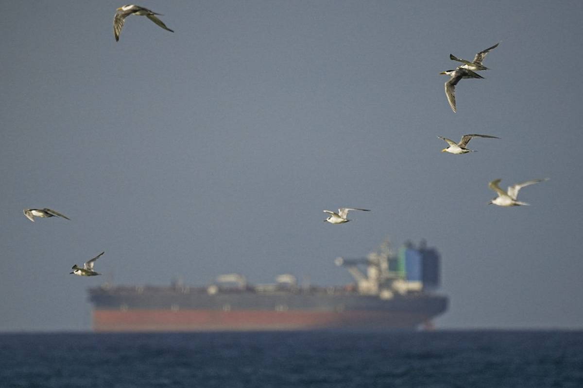 கப்பல்களுக்கு சுங்கக் கட்டணம் வசூலிக்கும் ஈரான்... இந்தியாவிடமிருந்து எவ்வளவு வசூலிக்கிறது? | How Much Charging Indian Tankers