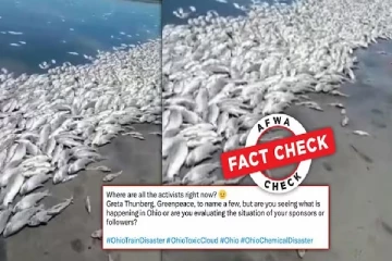 Fact Check: ரசாயன கழிவால் மீன்கள் இறந்தாக பரவும் வீடியோ உண்மையானதல்ல!