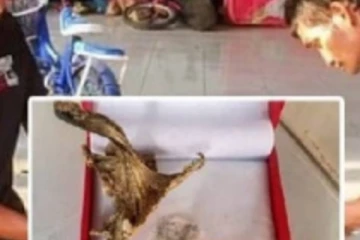 ஒரே நாளில் கோடீஸ்வரனான ஏழை மீனவர்!