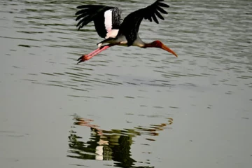 130 ஆண்டுகளுக்குப் பின் உருவான பேய் ஏரி